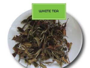 White Tea & Bud