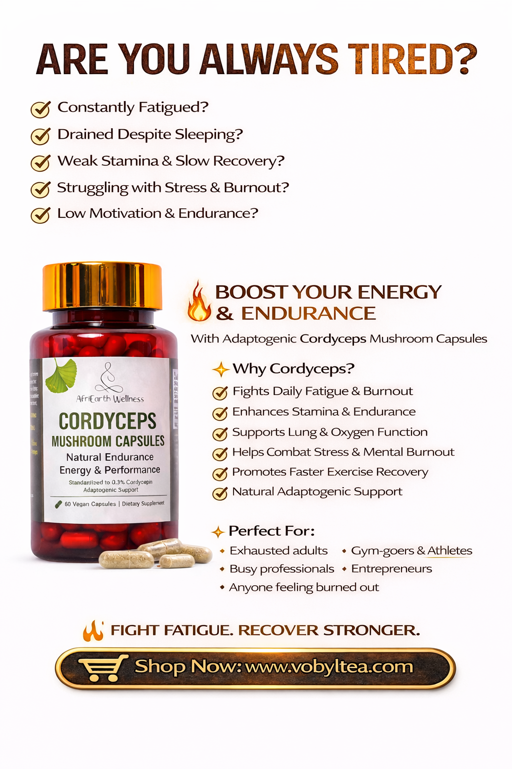 Cordyceps mushroom capsules - Image 3