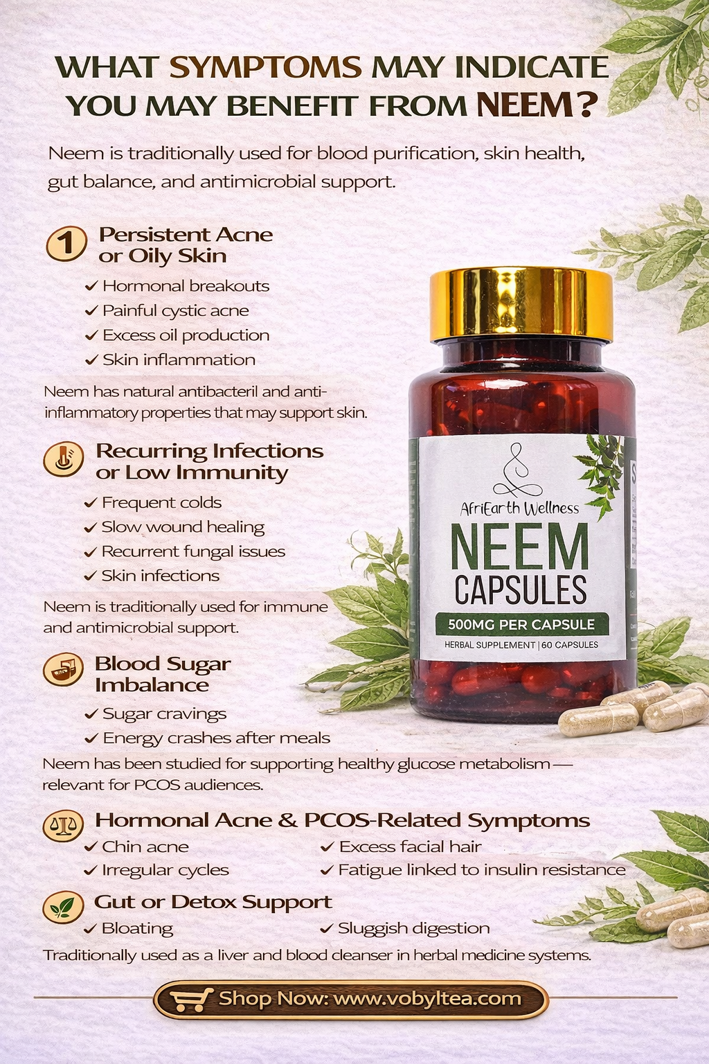 Neem capsules - Image 3